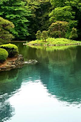Read Zen Lake in Tokyo Garden Japan Journal: 150 Page Lined Notebook/Diary -  file in ePub