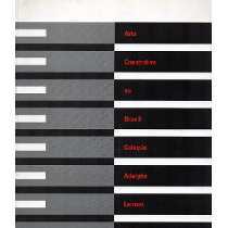 Read Online Constructive Art in Brazil Adolpho Leirner Collection - Adolpho Leirner file in ePub