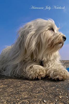 Read Havanese July Notebook Havanese Record, Log, Diary, Special Memories, To Do List, Academic Notepad, Scrapbook & More - Havanese World file in PDF