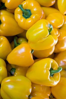 Download The Yellow Bell Peppers Journal: 150 Page Lined Notebook/Diary -  file in ePub