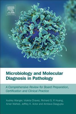 Download Microbiology and Molecular Diagnosis in Pathology: A Comprehensive Review for Board Preparation, Certification and Clinical Practice - Audrey Wanger | PDF