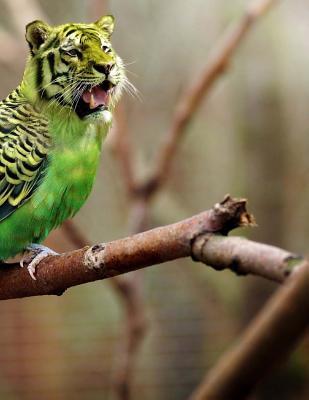 Read School Exercise Book: School Exercise Book with 150 Lined Pages -  | ePub