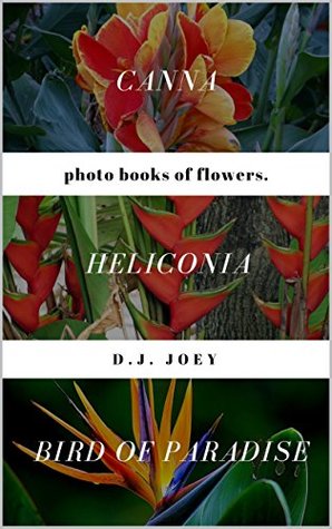 Download Bird of paradise Heliconia Canna: Photo books of three flower for relaxation or learning - D.J. Joey | PDF