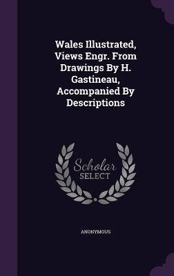 Download Wales Illustrated, Views Engr. from Drawings by H. Gastineau, Accompanied by Descriptions - Anonymous file in PDF