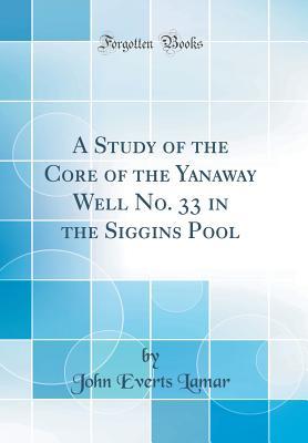 Full Download A Study of the Core of the Yanaway Well No. 33 in the Siggins Pool (Classic Reprint) - John E. Lamar | PDF