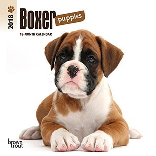 Read Boxer Puppies 2018 7 x 7 Inch Monthly Mini Wall Calendar, Animals Dog Breeds Puppies (Multilingual Edition) -  file in ePub