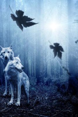 Download Wolf Forest Notebook: 150 Lined Pages, Softcover, 6 X 9 -  file in ePub