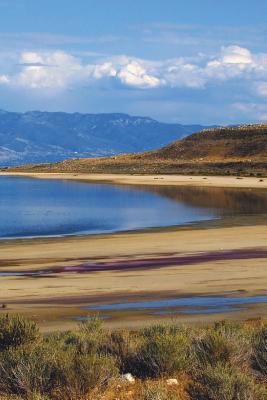 Read Online Great Salt Lake in Utah Journal: 150 Page Lined Notebook/Diary -  | ePub