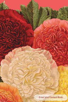 Read Email and Contact Book: Contact Book for Birthdays, Addresses, Phone Numbers and Email, Alphabetical Organizer Journal Notebook For, Women, Men, Girls, Teens -  file in ePub