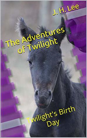 Download The Adventures of Twilight: Twilight's Birth Day - J. H. Lee | PDF