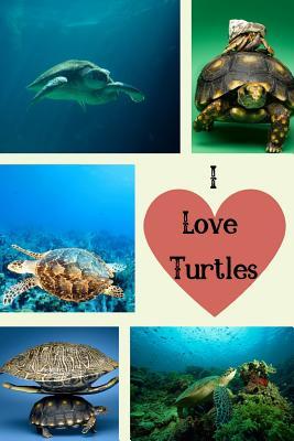 Full Download I Love Turtles: Turtle Themed Notebook For All That Love These Wonderful Aquatic Reptiles -  | PDF