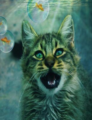 Full Download Cat & Bubble Fish Composition Notebook, Dotted Grid Journal Paper: 250 Numbered Pages, 9-3/4 X 7-1/2 -  | PDF